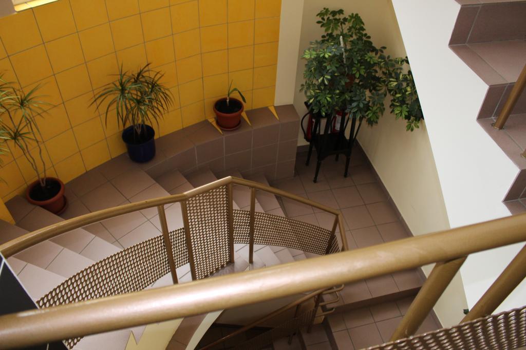 טימישוארה Pension Yellow מראה חיצוני תמונה